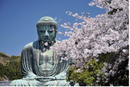 仏頂面院長イメージ写真