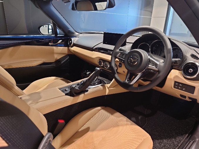 悪い虫（車の運転席）