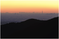 丘から見た夕暮れ時の都市の景色