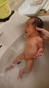 沐浴させている新生児の様子