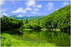 山と湖が広がる新緑の渓谷風景