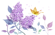 紫のライラックの花と黄色い蝶のイラスト
