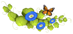 青い朝顔の花と蝶のイラスト