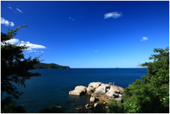 岩場と青い海が広がる海岸線の風景