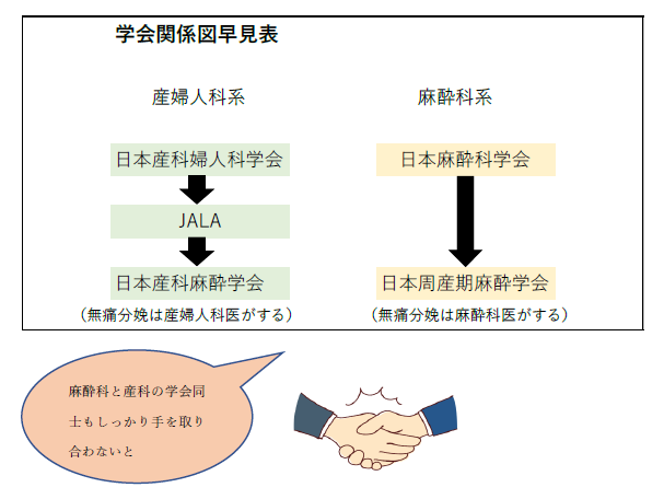 産婦人科系と麻酔科系の学会関係を示す早見図