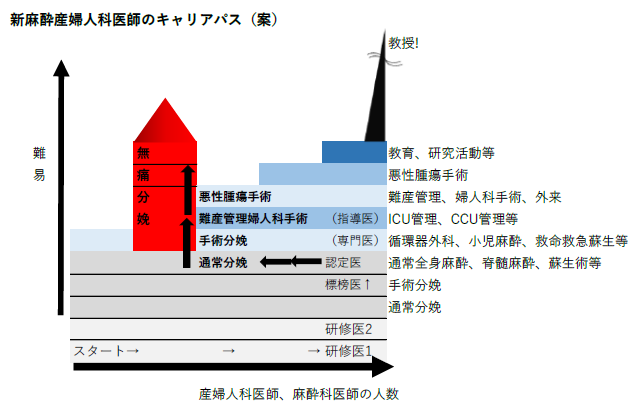 新麻酔産婦人科医師のキャリアパス案を示す図