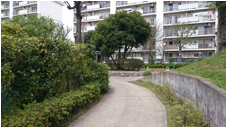 緑に囲まれた庭の小道