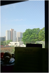 窓辺の人形と外に見える建物群の景色