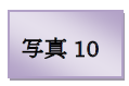「写真10」というラベル画像