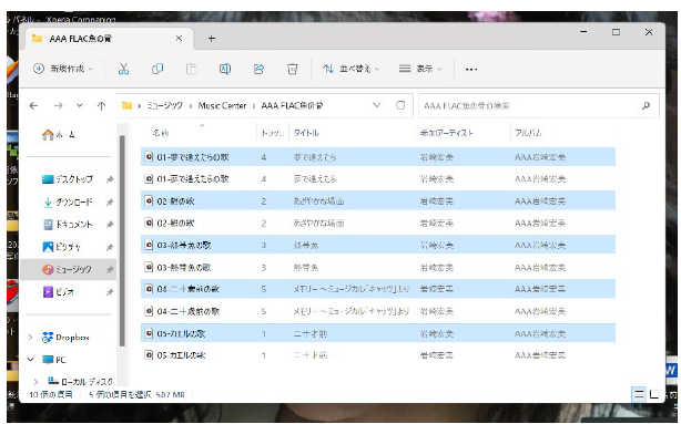AAA FLAC形式フォルダ内のファイル詳細一覧