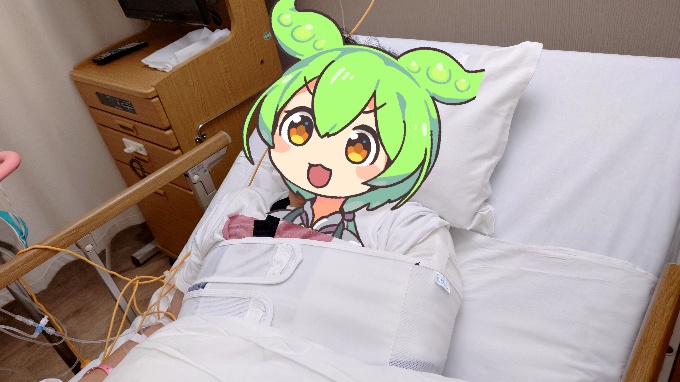 点滴スタンドのある病室のベッドと緑髪のキャラクターぬいぐるみの写真